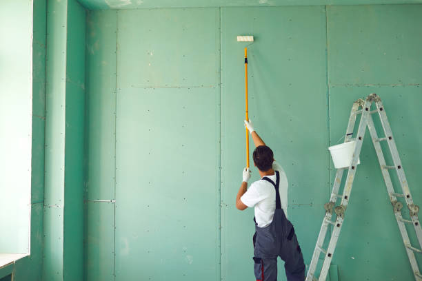Best Mold Documentation for Insurance Claims  in Lyons, IL