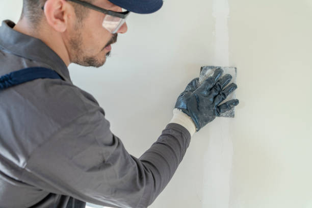 Best Attic Mold Removal  in Lyons, IL