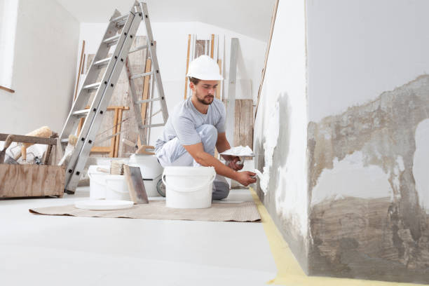 Best Water Damage & Mold Remediation  in Lyons, IL