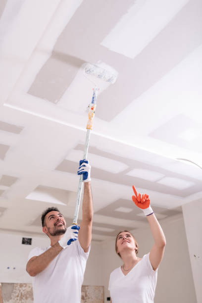 Best Commercial Mold Inspection  in Lyons, IL