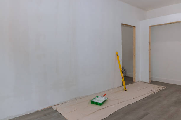 Best Emergency Mold Remediation  in Lyons, IL