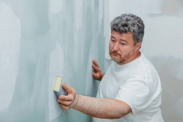 Best Real Estate Mold Inspection  in Lyons, IL