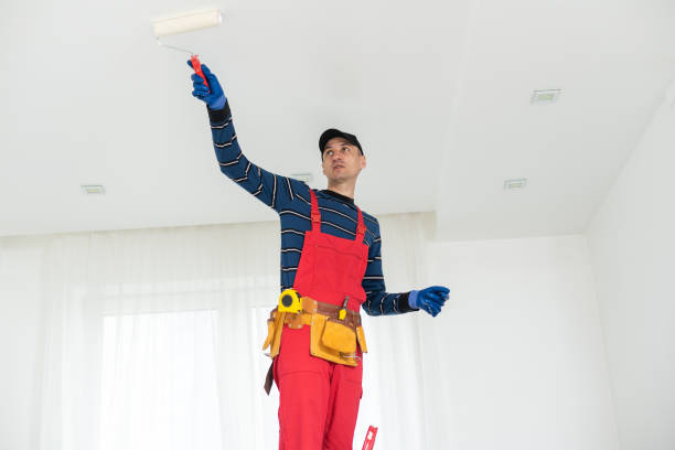 Best Black Mold Removal  in Lyons, IL