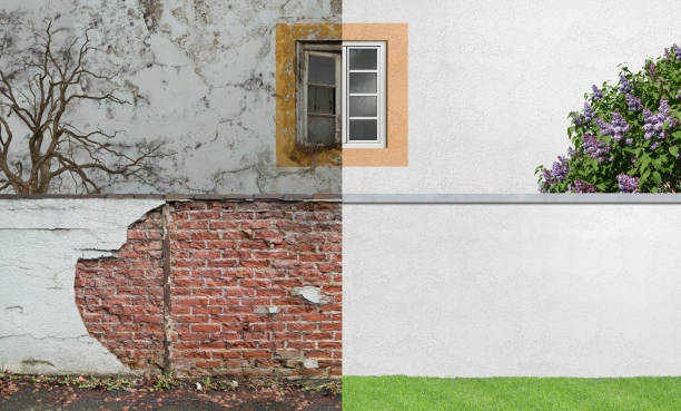 Best Mold Prevention Services  in Lyons, IL