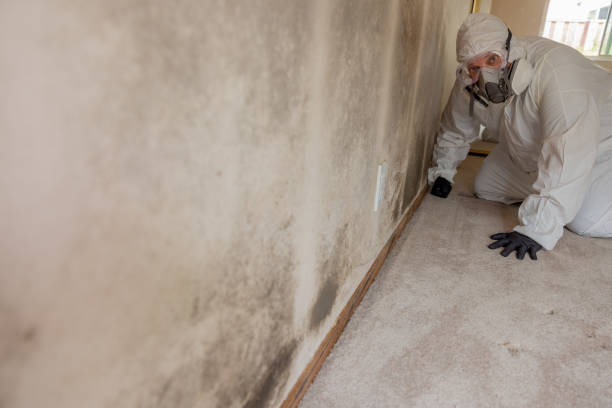 Best Residential Mold Inspection & Testing  in Lyons, IL
